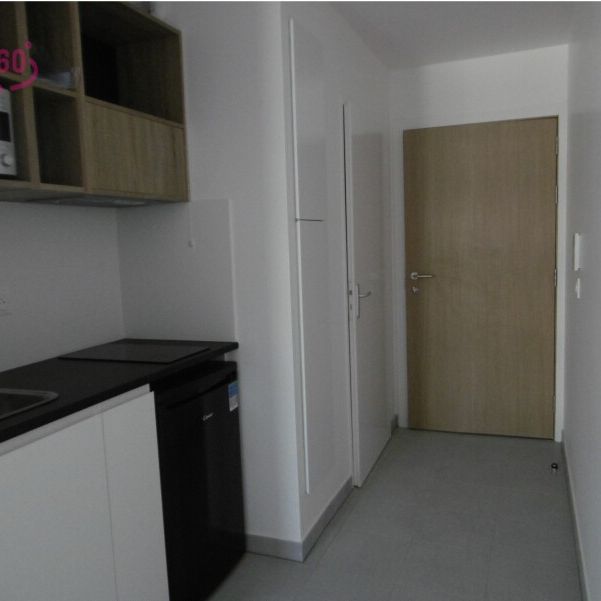 Location Appartement 1 pièce 20m² LYON 7ème - Photo 1