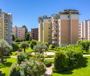 Viganello - Affittasi appartamento arredato 3.5 locali con balcone - Foto 4