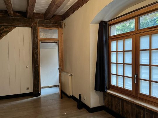 Location Appartement 2 pièces 52m² ANNECY 74000 - Photo 1