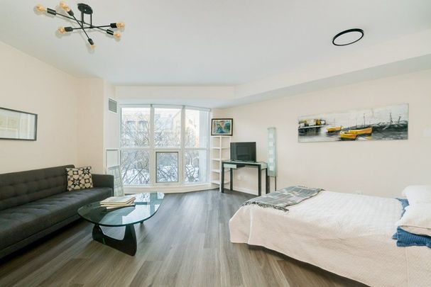 For Lease - 18 Beverley Street Unit# 327, Toronto, Ontario - Photo 1