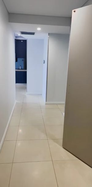 134A O'Riordan St, Sydney - Photo 2