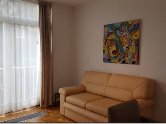 IXELLES : APPARTEMENT MEUBLE 3 CHAMBRES + TERRASSE + GARAGE - Ixelles - Foto 1