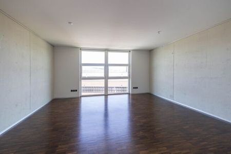 Vue sur Winterthur - LOYER SANS ACOMPTE*** - Photo 4