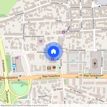 Nowotarski (pow.), Nowy Targ (gm.)