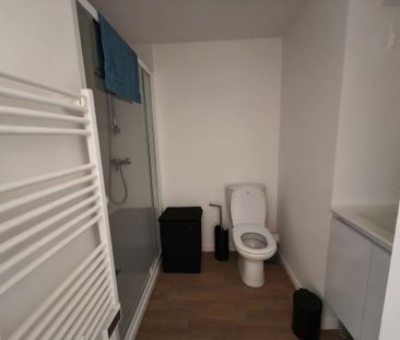 Location Appartement 1 pièce Meublé 18m² NANTES 44300 - Photo 5