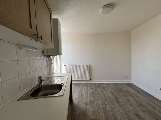 Location Appartement 3 pièces 60m² CHARLIEU 42190 - Photo 1