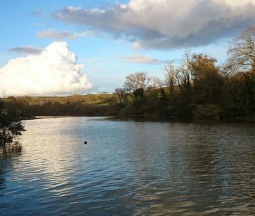 1 bedroom detached house to rent - Photo 6