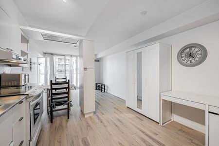 For Lease - 111 Elizabeth Street Unit# 735, Toronto, Ontario - Photo 5