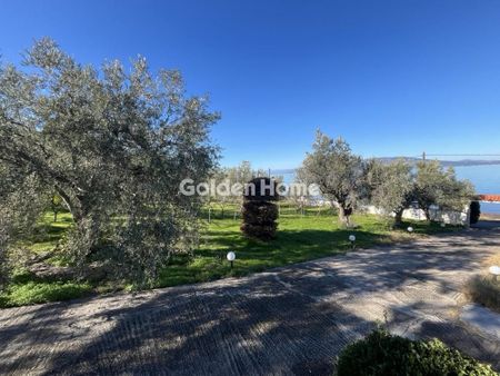 Μονοκατοικία για ενοικίαση Αρκίτσα (Δαφνούσες) - Φωτογραφία 5