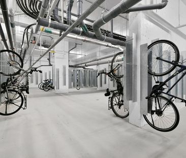 88 Beechwood Avenue, Lindenlea - New Edinburgh, Ottawa, ON - Photo 4