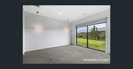 A cut above the rest! - Photo 5