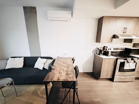 Appartement à louer, Montréal (Le Plateau-Mont-Royal) - Photo 3