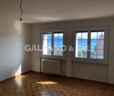 Magnifique loft au centre de Pully en attique - Photo 6