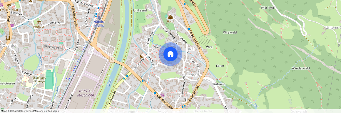 8753, Mollis, Rüfi, 4