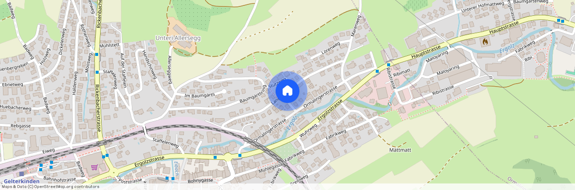 4460, Gelterkinden, Langmattweg, 20