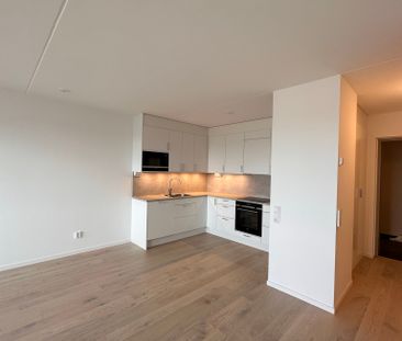 Blåsebergavägen, Limhamn - Photo 5