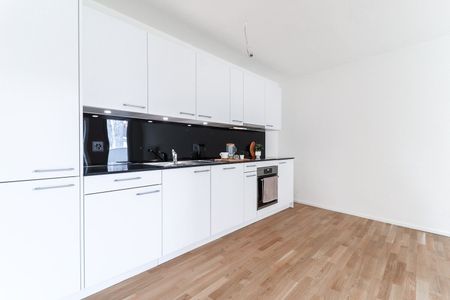 4.5-room apartment near Musical Theater - Photo 4