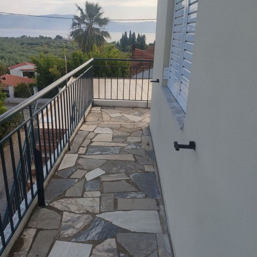 Διαμέρισμα για ενοικίαση Αρκίτσα (Δαφνούσες) - Φωτογραφία 1