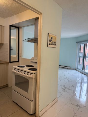 3470 Rue Simpson Montréal (Ville-Marie), QC H3G - Photo 3