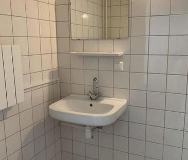 Bovenkruier 60 - Photo 5