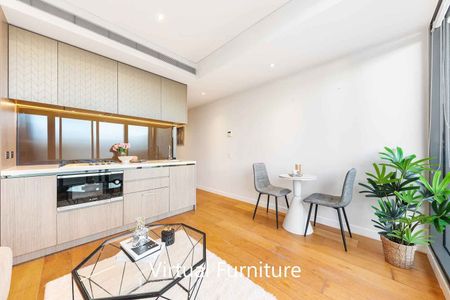 313/225 Pacific Highway North Sydney - Photo 5