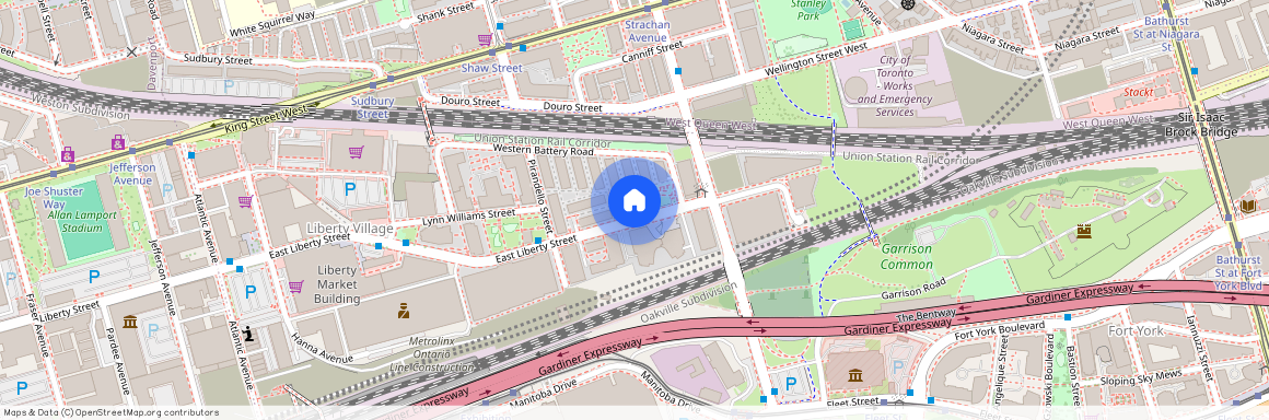 46 EAST LIBERTY Street, Toronto