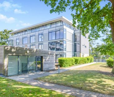 1 bedroom apartment to rent Trinity Court, Newsom Place, St. Albans... - Photo 5