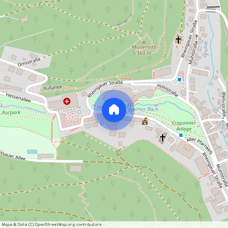 65388 Hessen - Schlangenbad