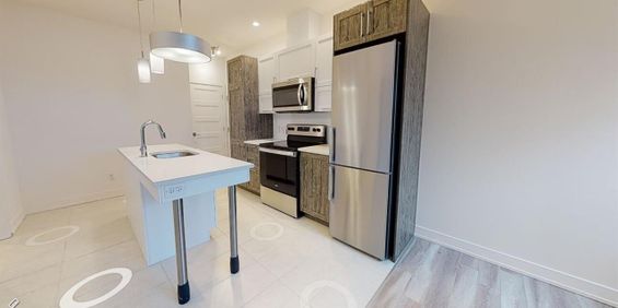 655 Boulevard Du Plateau (Plateau) 3 1/2 Tous Inclus - Photo 3