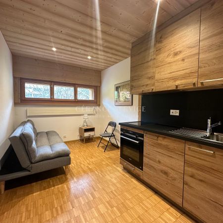 Studio - Bercière - 10-month rental, from April 15 - Foto 3