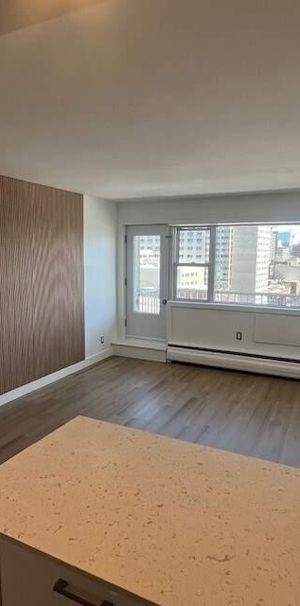 1 CH - 1 SDB - Montréal - $1,400 /mo - Photo 1