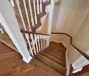 For Lease - 38 Clubhouse Drive, Collingwood, Ontario - Photo 5