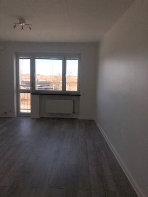 Rosendalsvägen, Malmö - Foto 1