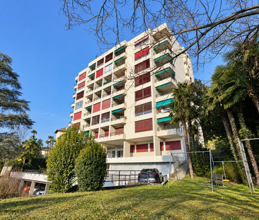 Vacallo: Affittasi luminoso ed ampio monolocale con vista dominante - Foto 2