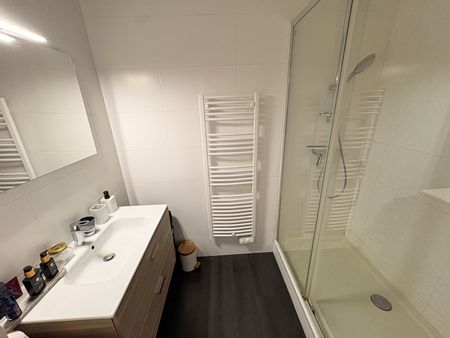 Location Appartement 2 pièces 33m² LILLE 59000 - Photo 5