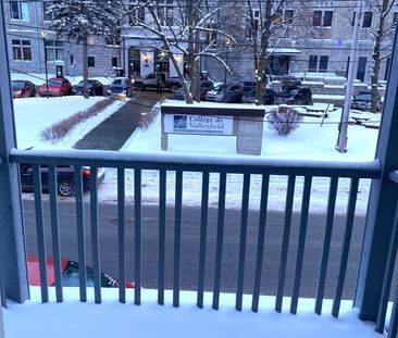 Rue Champlain, J6T 1X5, Salaberry-De-Valleyfield - Photo 6