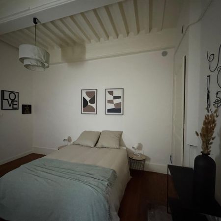 Location Appartement 2 pièces 50m² MACON 71000 - Photo 3