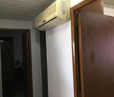 Palmera - Foto 5