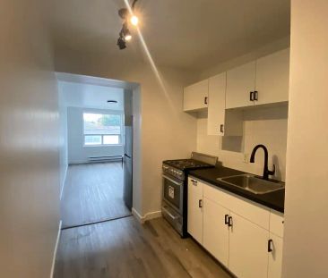 229 Carlton Street — Junior 1 Bedroom - Photo 1