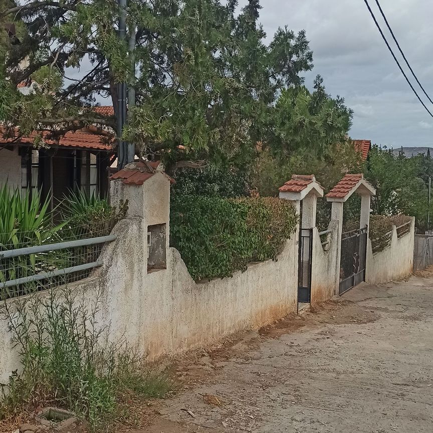 Ενοικίαση κατοικίας, 60 τ.μ., Δ. Μαρκόπουλου Μεσογαίας, 550 € - Photo 1