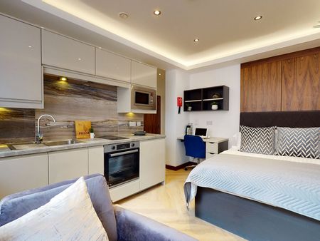 Apt 18, Live Oasis Piccadilly - Photo 5