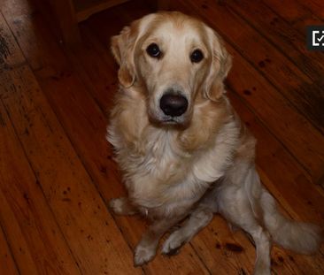 Decorated room in 5-bedroom apartment in Churchtown, Dublin - Photo 1