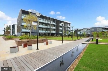 Zetland - Photo 3