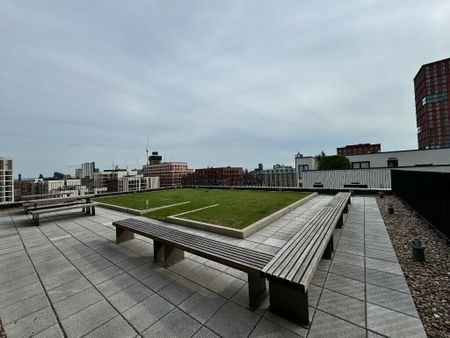 Ancoats Gardens, Manchester - Photo 4