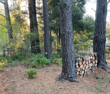10 Fifth Street, Hepburn Springs - Photo 6