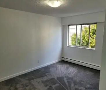 City View Apartments — Two Bedroom - Unit 102 - Photo 2