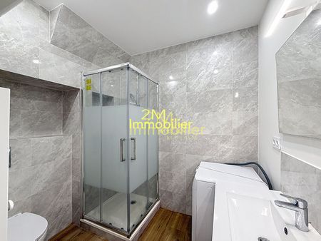 Location Appartement 1 pièce 21m² - Photo 5