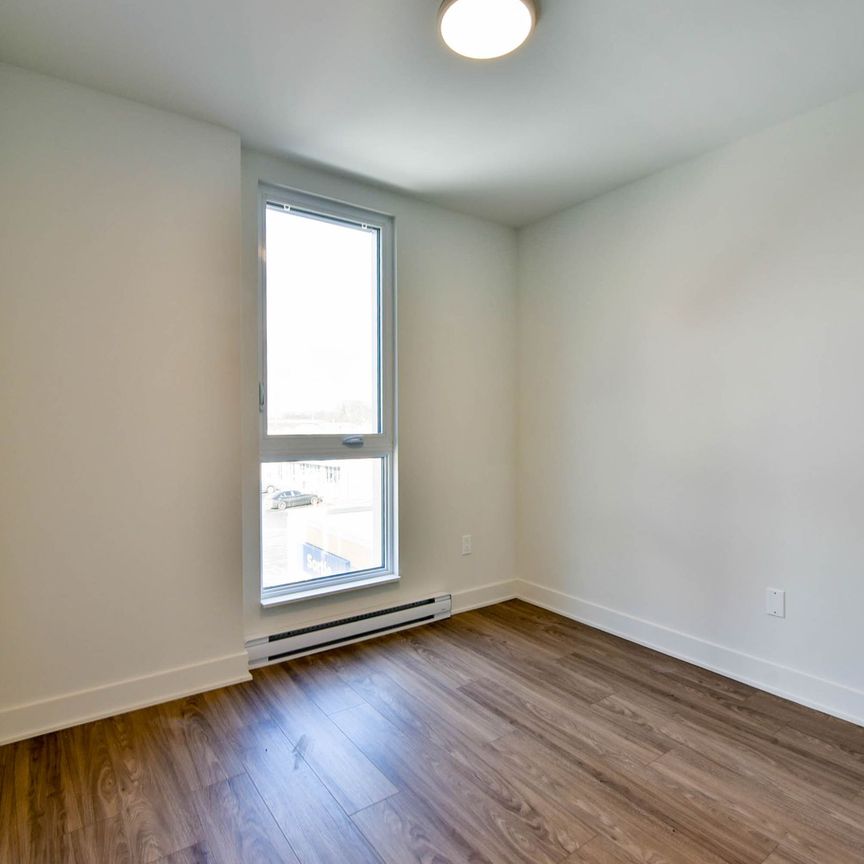 9675 Av. Papineau - Photo 1