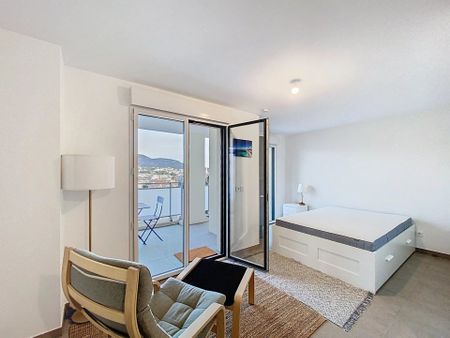 Location Appartement 1 pièce 27m² NICE 06100 - Photo 4