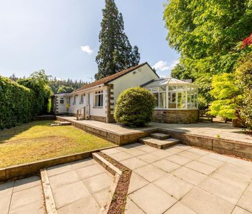 2 bedroom detached bungalow to rent - Photo 6